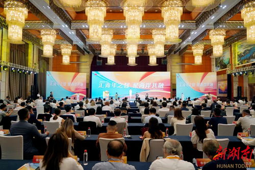 2024海峽兩岸 湖南 青年交流發(fā)展大會(huì)在長沙啟幕