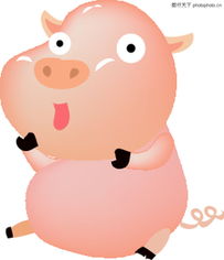 時尚萌趣 從“豬0042”到矢量插畫的創意進化